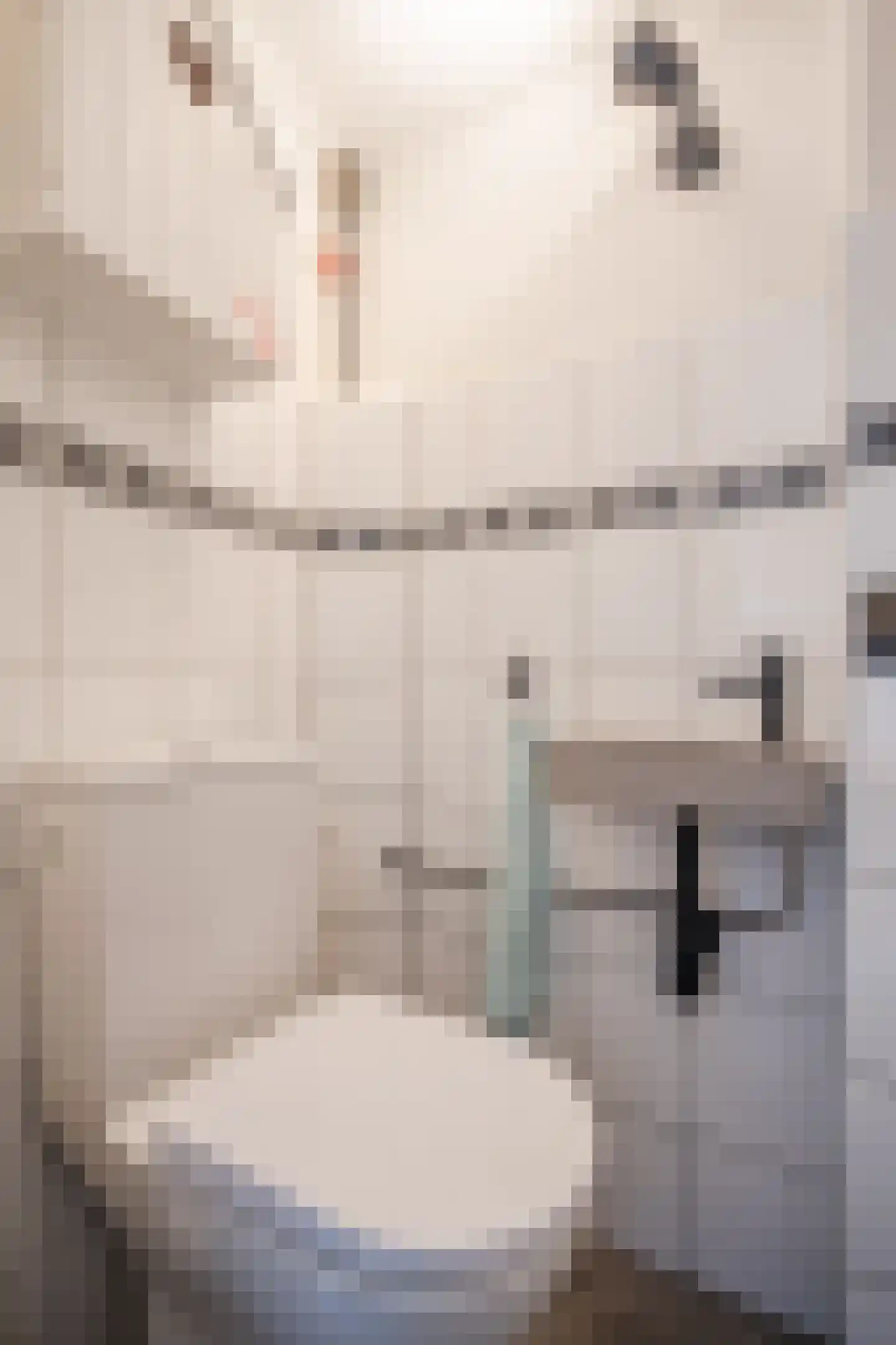 Berkellaan 14 Hengelo thumbnail 8