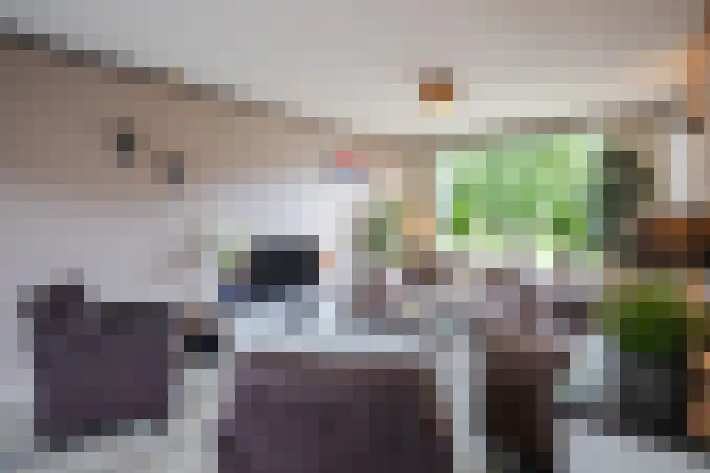 Berkellaan 14 Hengelo thumbnail 9