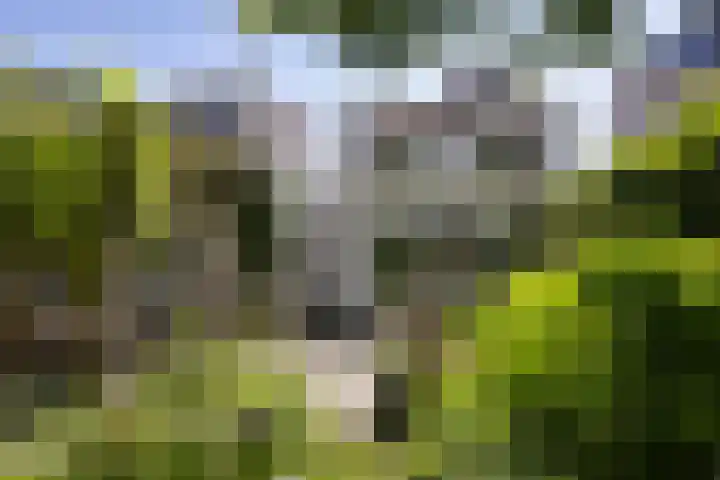 Berkellaan 34 Hengelo thumbnail 18