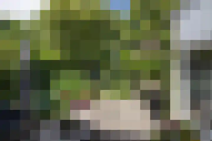 Berkellaan 34 Hengelo thumbnail 19