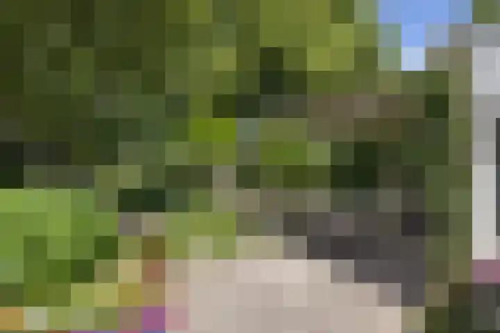 Berkellaan 34 Hengelo thumbnail 20