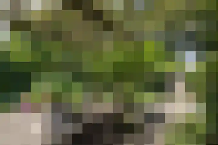 Berkellaan 34 Hengelo thumbnail 21