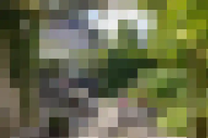 Berkellaan 34 Hengelo thumbnail 22
