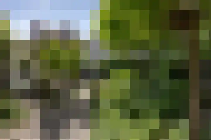 Berkellaan 34 Hengelo thumbnail 23