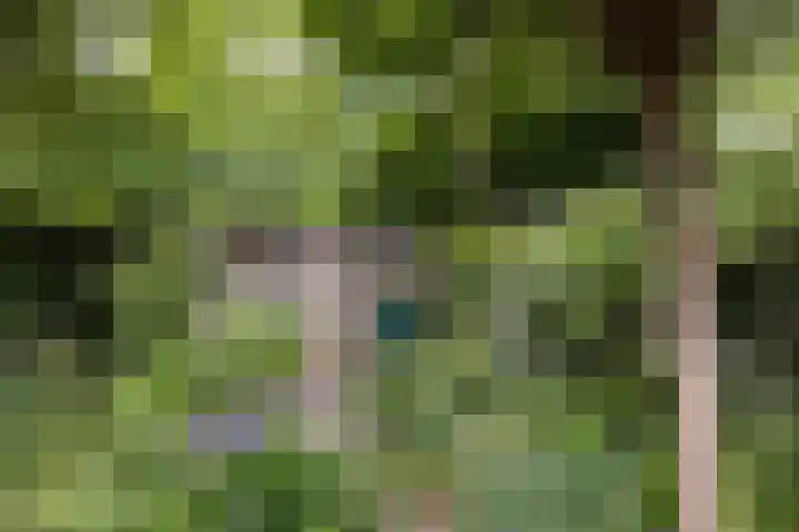 Berkellaan 34 Hengelo thumbnail 24