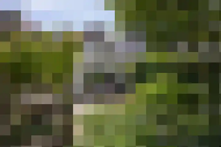 Berkellaan 34 Hengelo thumbnail 25