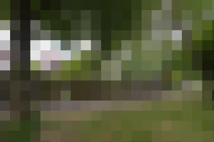 Berkellaan 34 Hengelo thumbnail 27