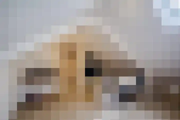 Berkellaan 45 Borculo thumbnail 28