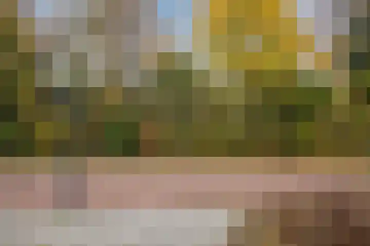 Berkellaan 45 Borculo thumbnail 36