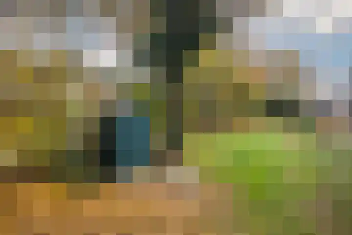 Berkellaan 45 Borculo thumbnail 38