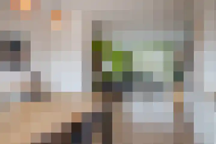 Berkellaan 45 Borculo thumbnail 7