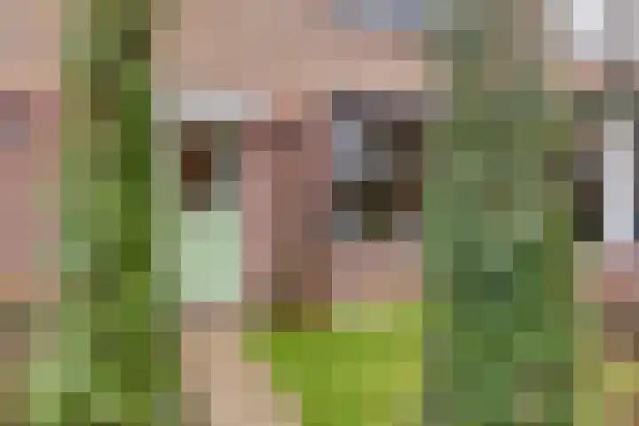 Berkellaan 7 Borculo thumbnail 12