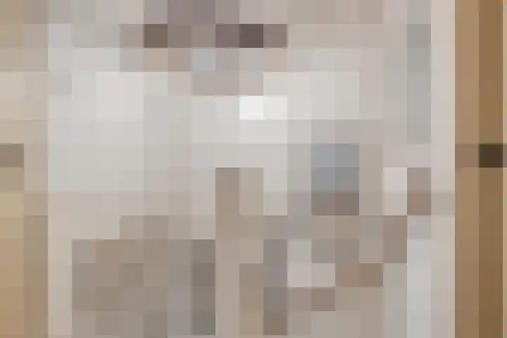 Berkellaan 7 Borculo thumbnail 23