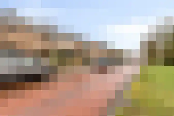 Berkellaan 7 Borculo thumbnail 32