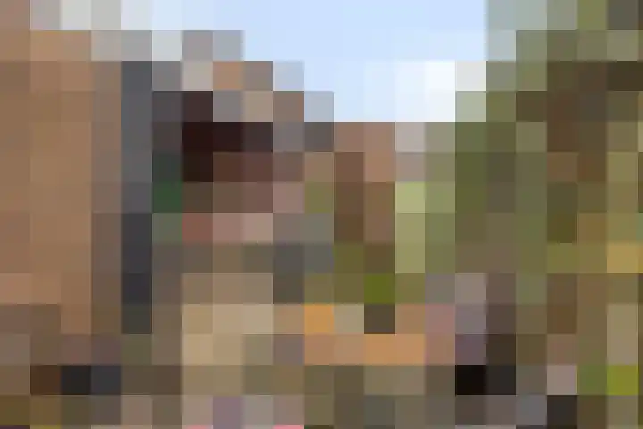 Berkellaan 7 Borculo thumbnail 8