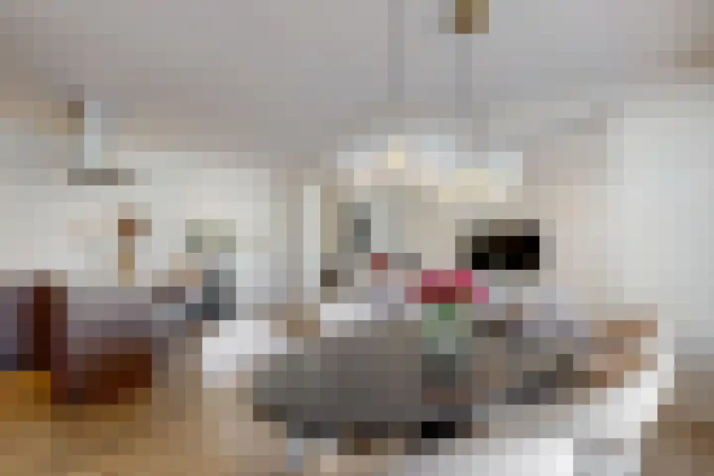 Berkelplein 2 A Valkenburg thumbnail 14