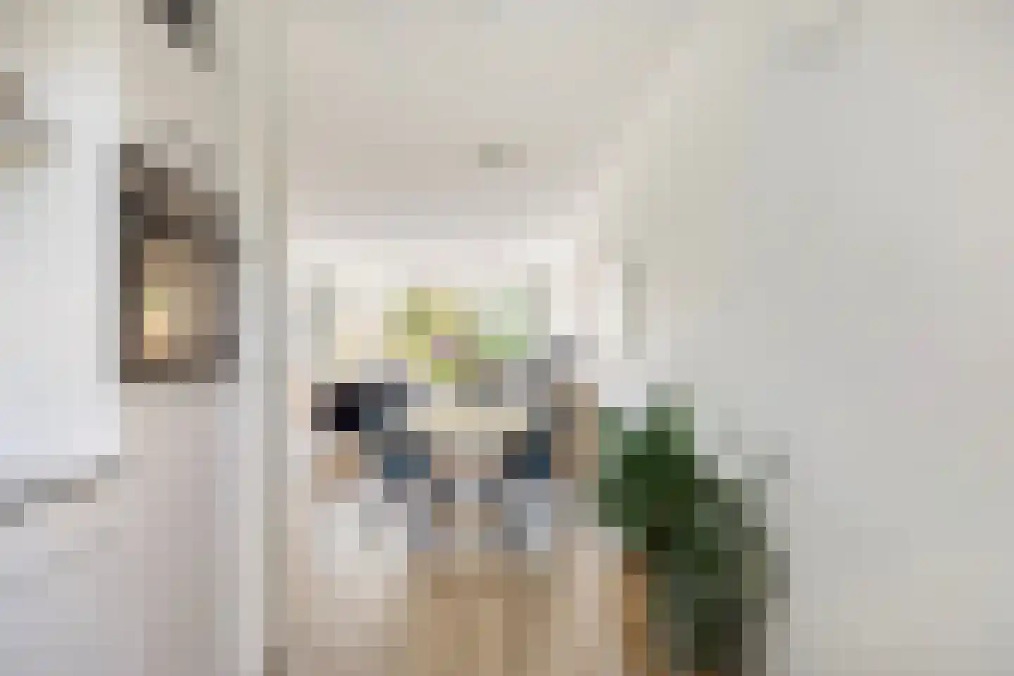 Berkelsekade 12 Berkel en Rodenrijs thumbnail 6