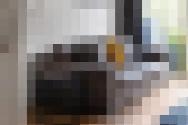 Berkelsekade 38 Berkel en Rodenrijs thumbnail 10