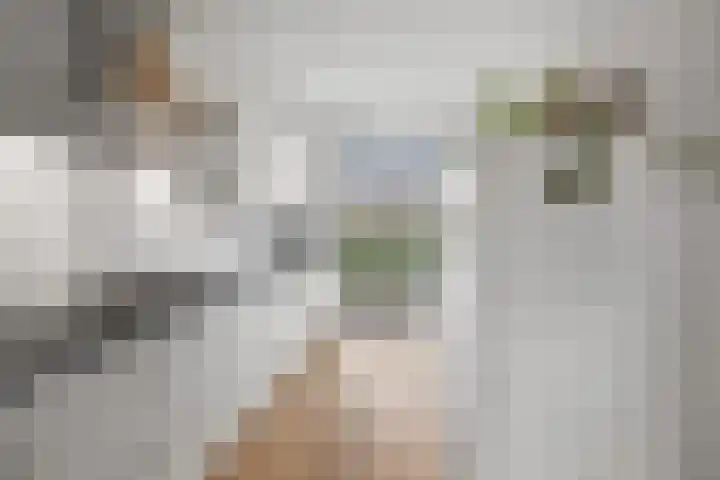 Berkelsekade 38 Berkel en Rodenrijs thumbnail 14