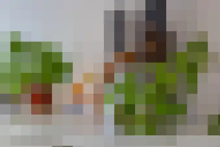 Berkelsekade 38 Berkel en Rodenrijs thumbnail 15