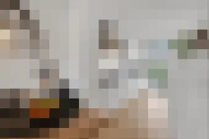 Berkelsekade 38 Berkel en Rodenrijs thumbnail 16