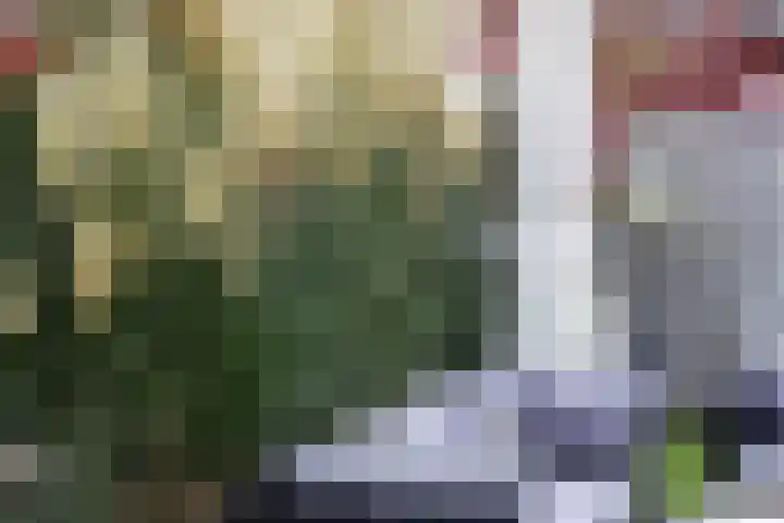 Berkelsekade 38 Berkel en Rodenrijs thumbnail 22