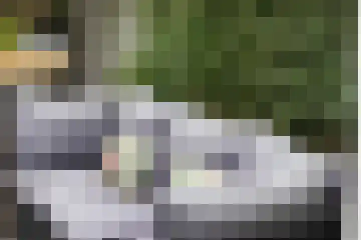 Berkelsekade 38 Berkel en Rodenrijs thumbnail 27