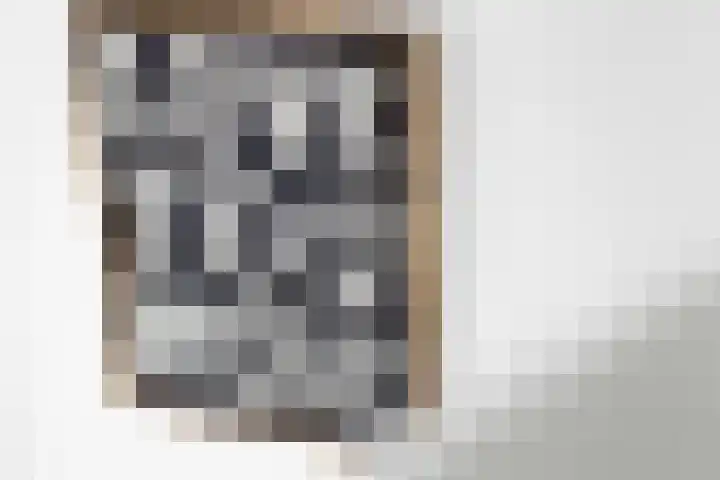 Berkelsekade 38 Berkel en Rodenrijs thumbnail 42