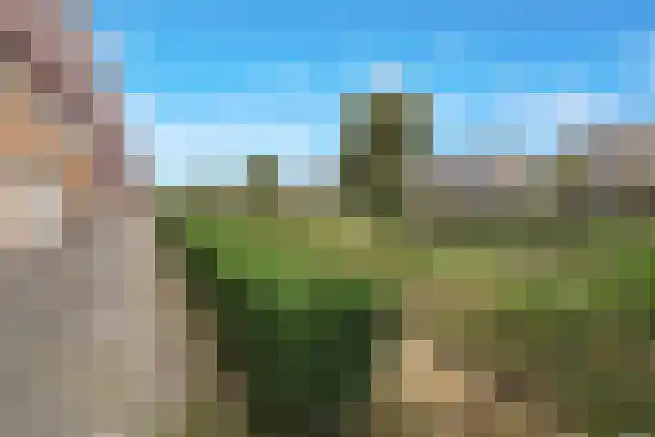 Berkelsekade 38 Berkel en Rodenrijs thumbnail 52