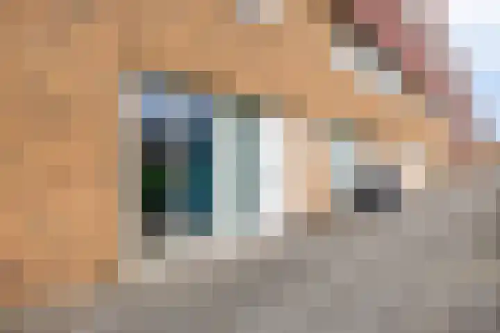 Berkelsekade 39 Berkel en Rodenrijs thumbnail 10