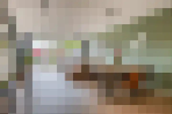 Berkelsekade 39 Berkel en Rodenrijs thumbnail 15