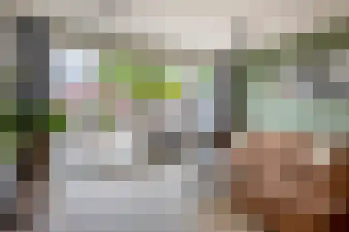 Berkelsekade 39 Berkel en Rodenrijs thumbnail 17