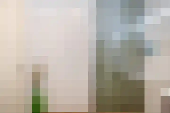 Berkelsekade 39 Berkel en Rodenrijs thumbnail 32