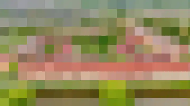 Berkelsekade 39 Berkel en Rodenrijs thumbnail 6
