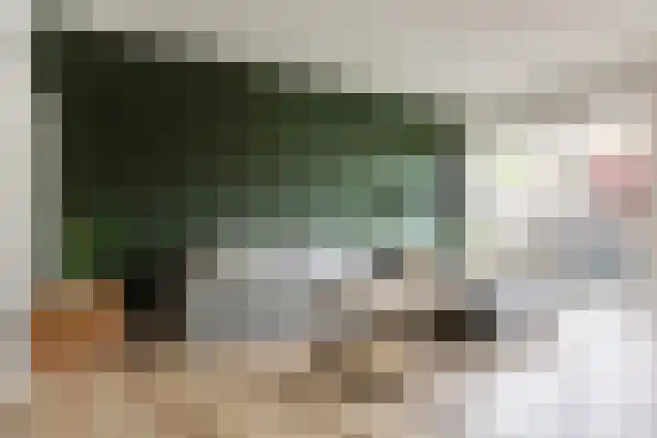 Berkelsekade 46 Berkel en Rodenrijs thumbnail 11