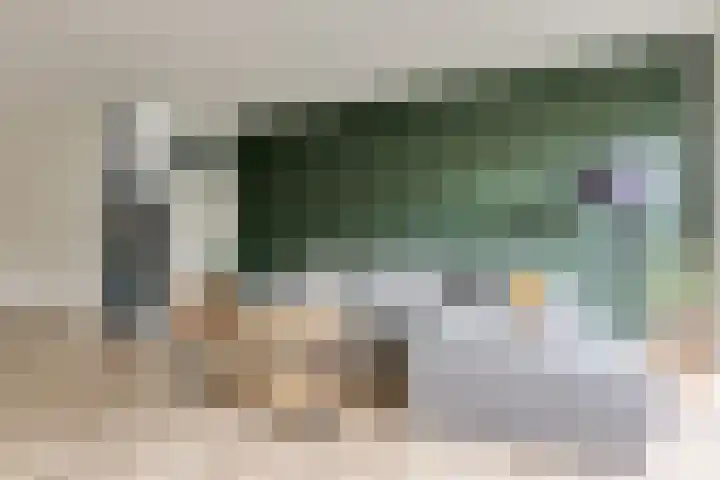 Berkelsekade 46 Berkel en Rodenrijs thumbnail 12