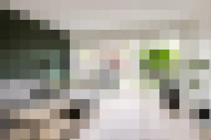 Berkelsekade 46 Berkel en Rodenrijs thumbnail 13