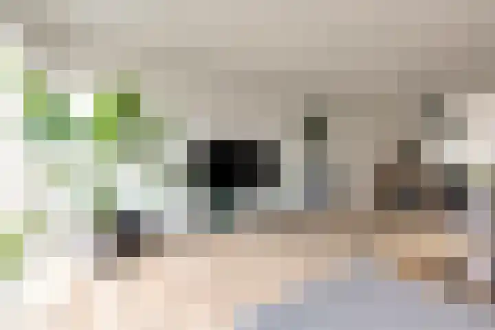 Berkelsekade 46 Berkel en Rodenrijs thumbnail 14