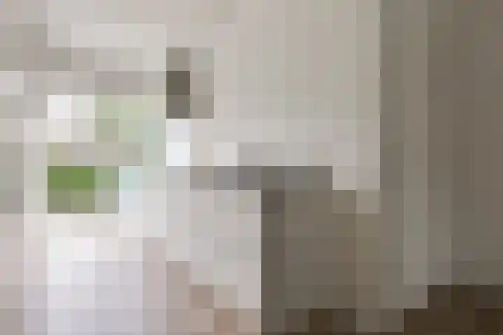 Berkelsekade 46 Berkel en Rodenrijs thumbnail 18