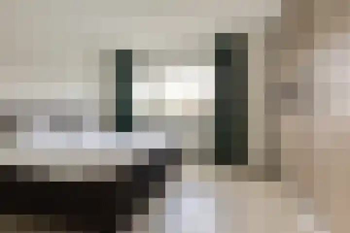 Berkelsekade 46 Berkel en Rodenrijs thumbnail 21