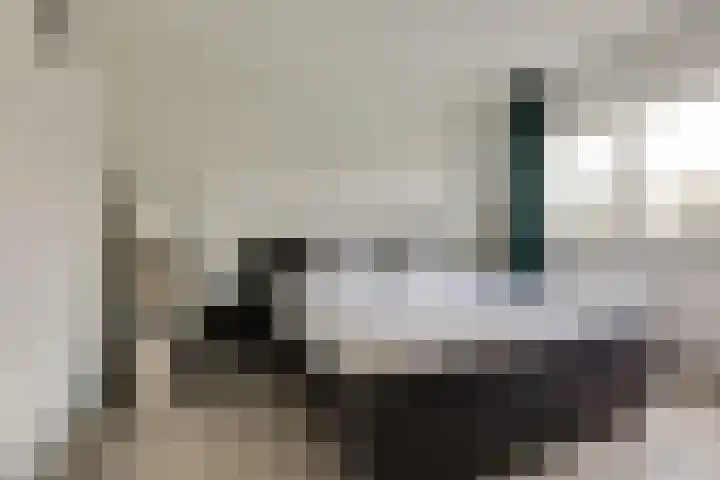 Berkelsekade 46 Berkel en Rodenrijs thumbnail 22