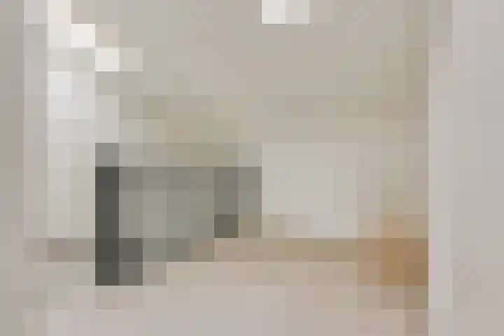 Berkelsekade 46 Berkel en Rodenrijs thumbnail 28
