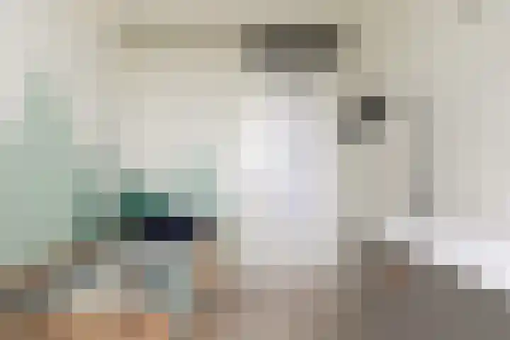 Berkelsekade 46 Berkel en Rodenrijs thumbnail 33