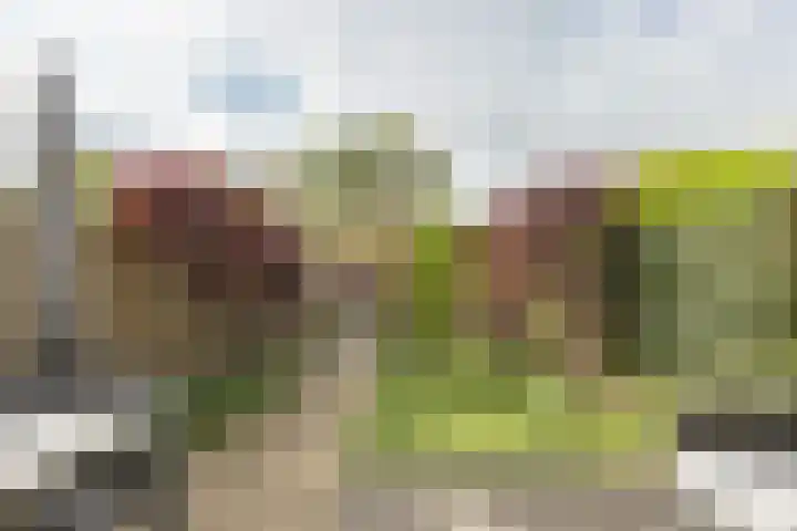 Berkelsekade 46 Berkel en Rodenrijs thumbnail 37