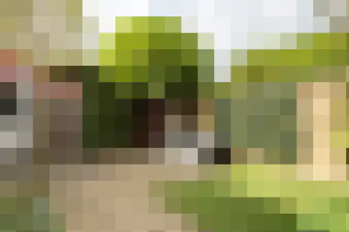 Berkelsekade 46 Berkel en Rodenrijs thumbnail 38