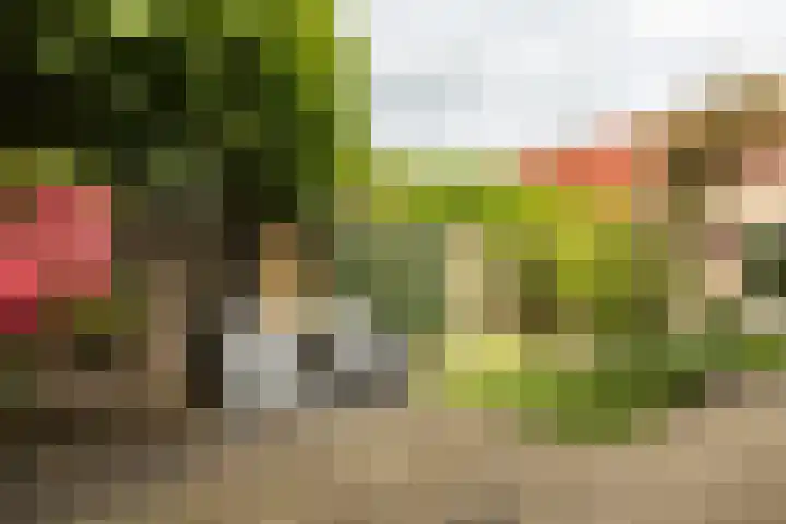 Berkelsekade 46 Berkel en Rodenrijs thumbnail 39
