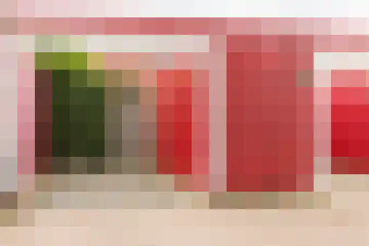 Berkelsekade 46 Berkel en Rodenrijs thumbnail 41