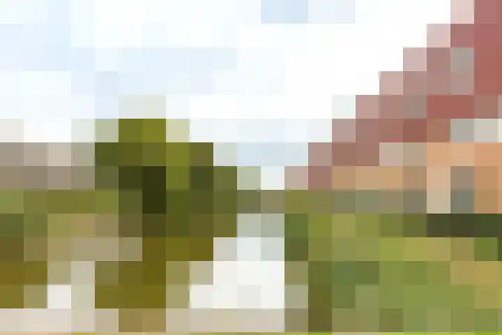 Berkelsekade 46 Berkel en Rodenrijs thumbnail 7