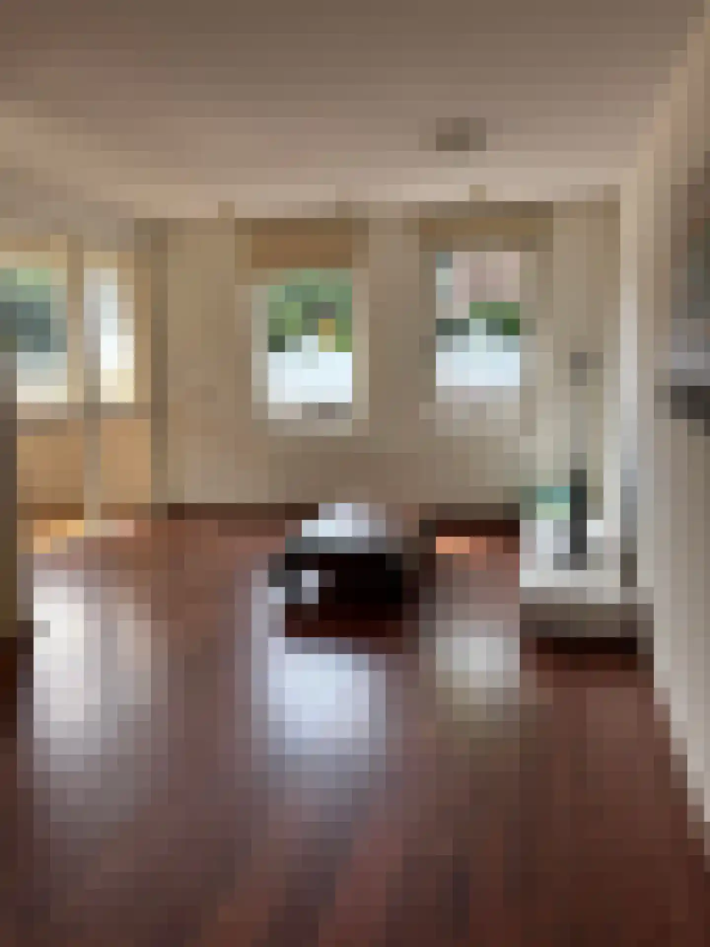 Berkelselaan 103 Rotterdam thumbnail 10