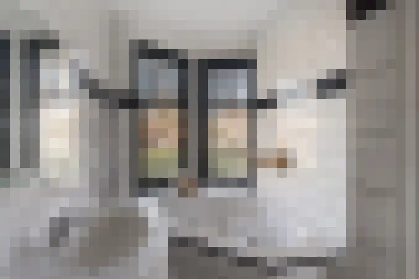 Berkelselaan 110 A 01 Rotterdam thumbnail 18